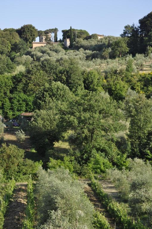 Agriturismo Malafrasca Siena Exterior photo